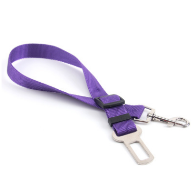 Fixed Dog Strap Polyester