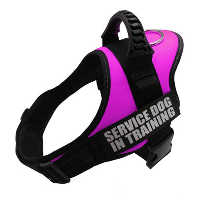 Breathable Dog Harness  | Shop Kays