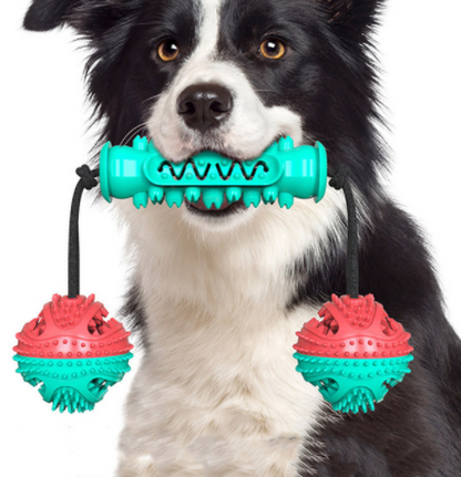 Dog Chew Toy Toothbrush Rubber Bone Teeth Cleaning