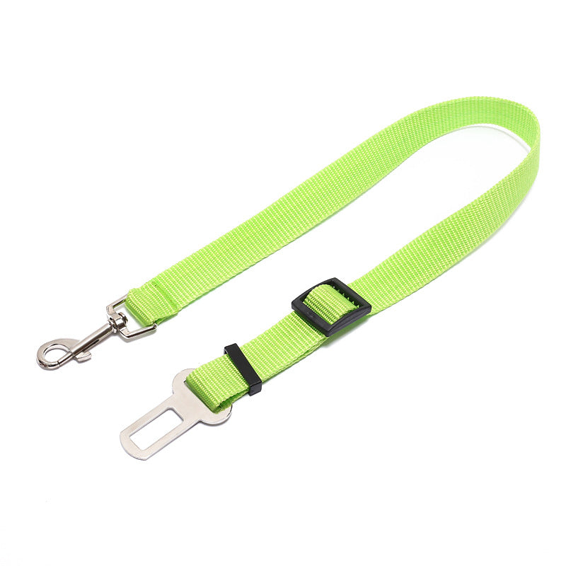 Fixed Dog Strap Polyester