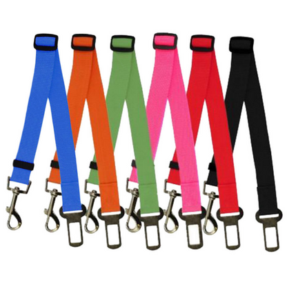 Fixed Dog Strap Polyester