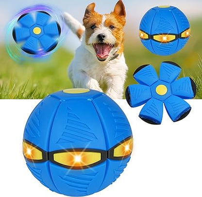 Doggy Disc Ball - Interactive Toy for Pups |Shop Kays