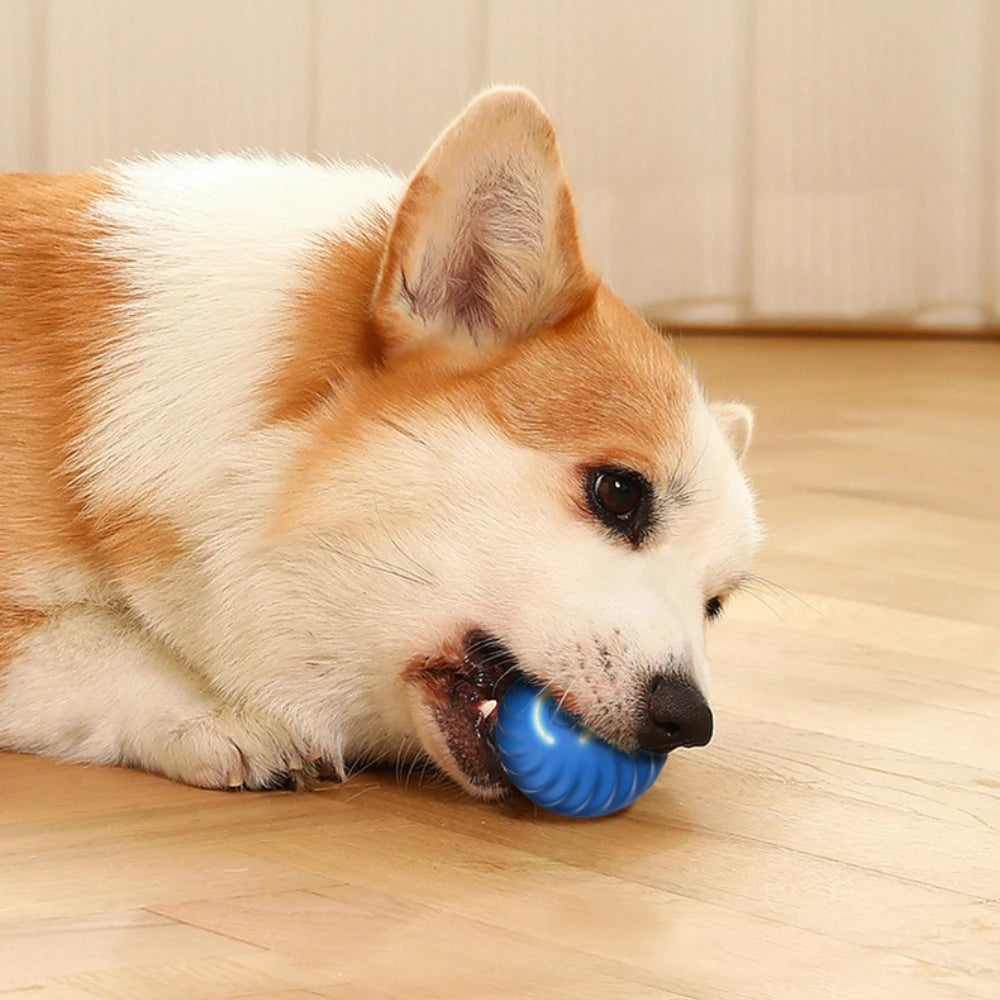 Smart Interactive Ball Dog Toy  | Shop Kays