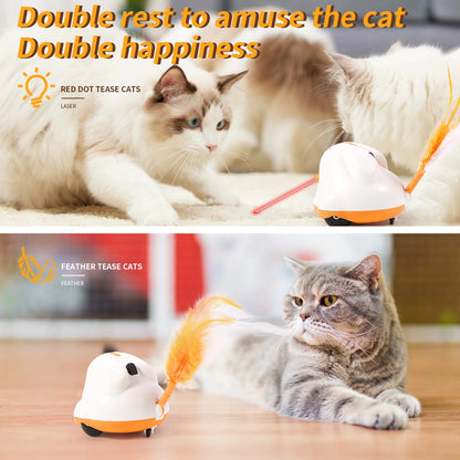 Cat Chaser Toy | Shop Kays