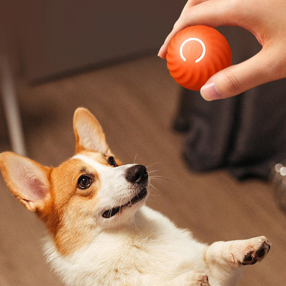 Smart Interactive Ball Dog Toy  | Shop Kays