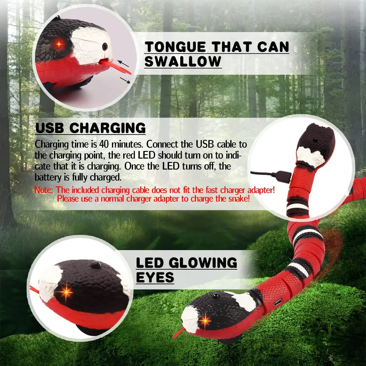 Magic Snake - Smart Toy for Cats | Shop Kays