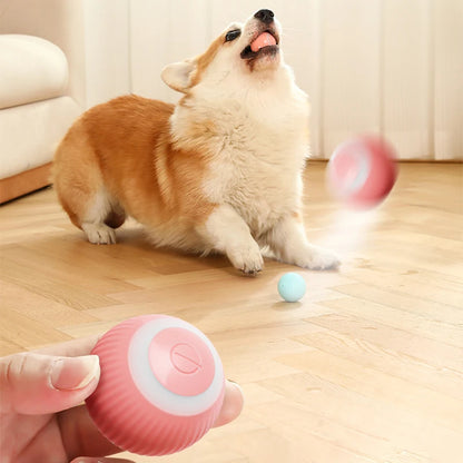 Smart Puppy Ball