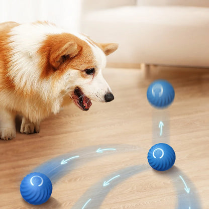 Smart Interactive Ball Dog Toy  | Shop Kays