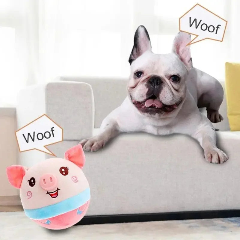 Active Ball Moving Pet Plush Toy | Shop Kays