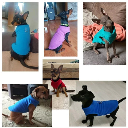 Winter Dog Jacket