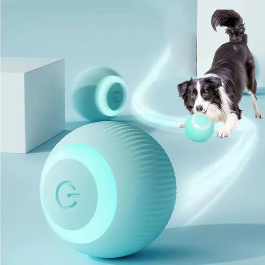 Smart Puppy Ball