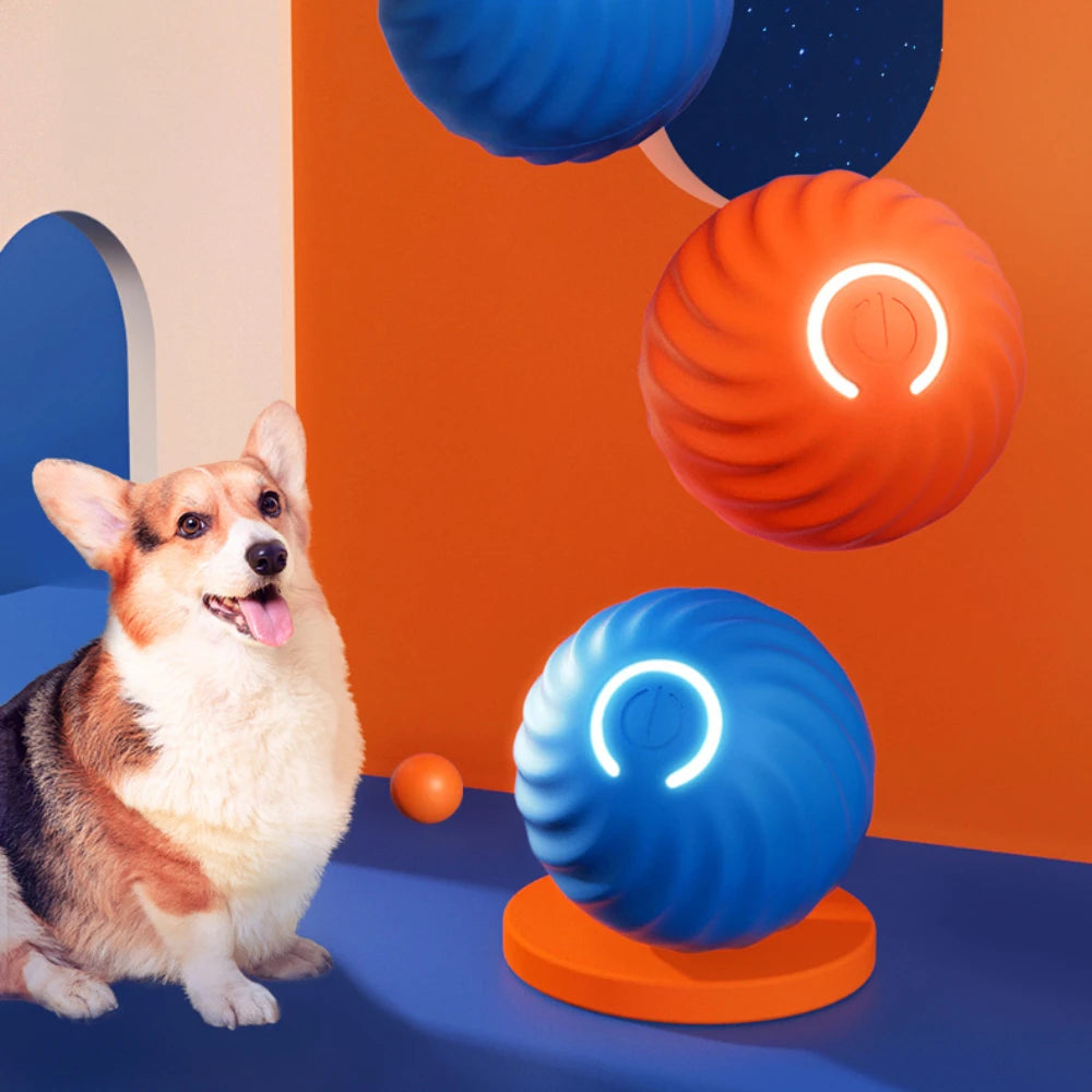 Smart Interactive Ball Dog Toy  | Shop Kays