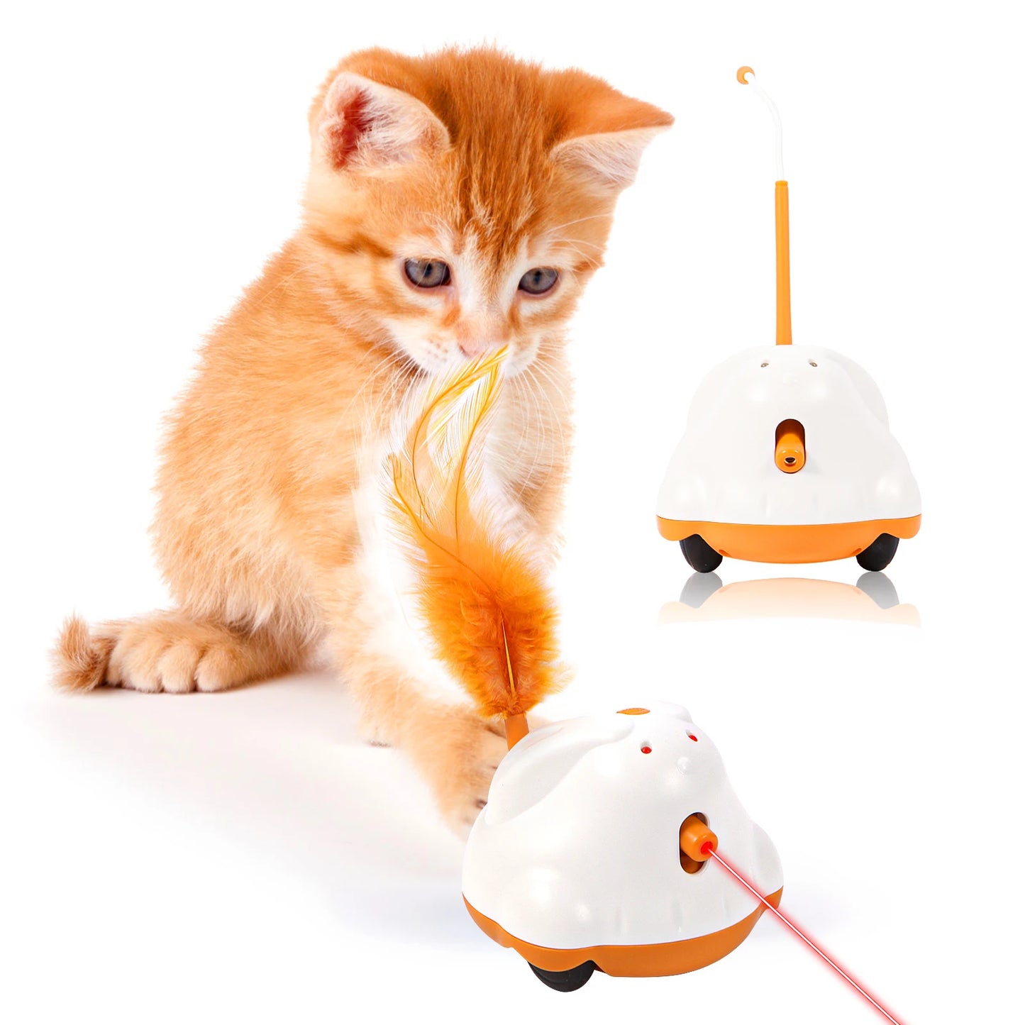 Cat Chaser Toy | Shop Kays