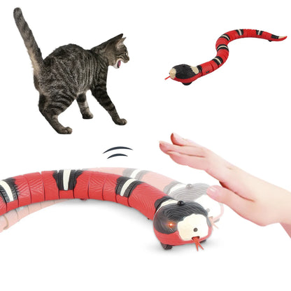 Magic Snake - Smart Toy for Cats | Shop Kays