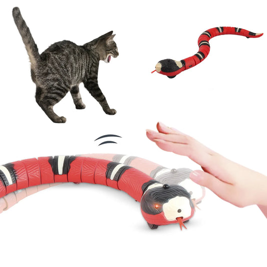 Magic Snake - Smart Toy for Cats | Shop Kays