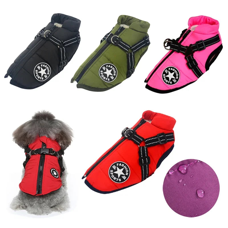 Dog Waterproof Winter Jacket with Harness | Shop Kays