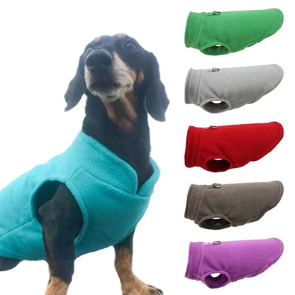 Winter Dog Jacket