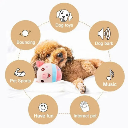 Active Ball Moving Pet Plush Toy | Shop Kays