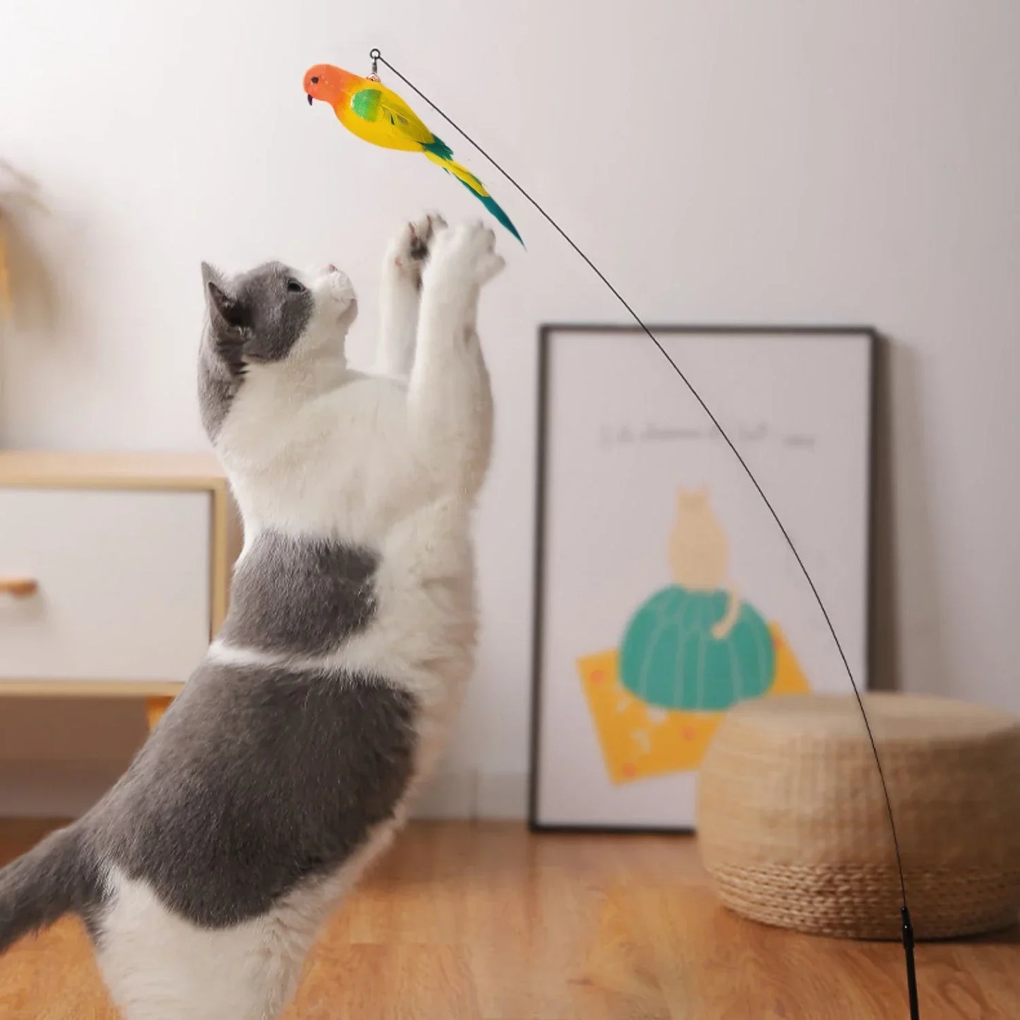 Interactive Bird Simulation Cat Toy Set | Shop Kays