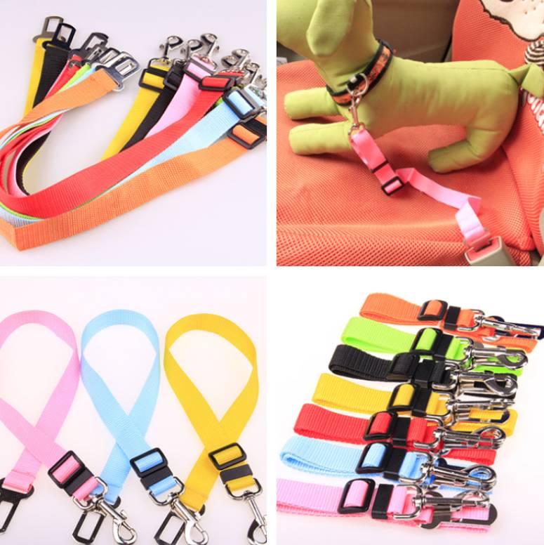 Fixed Dog Strap Polyester