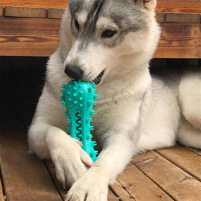 Pet Dog Cleaning Chew Toys For Aggressive Dogs